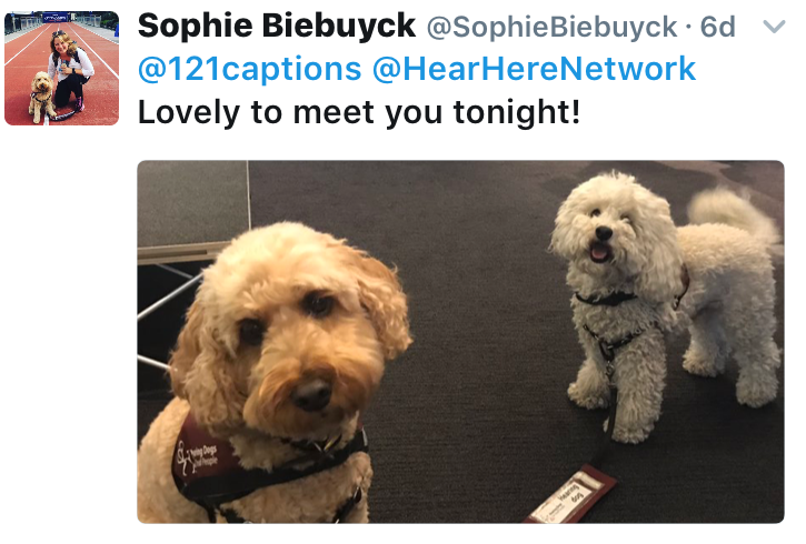 Sophie Biebuyck on twitter