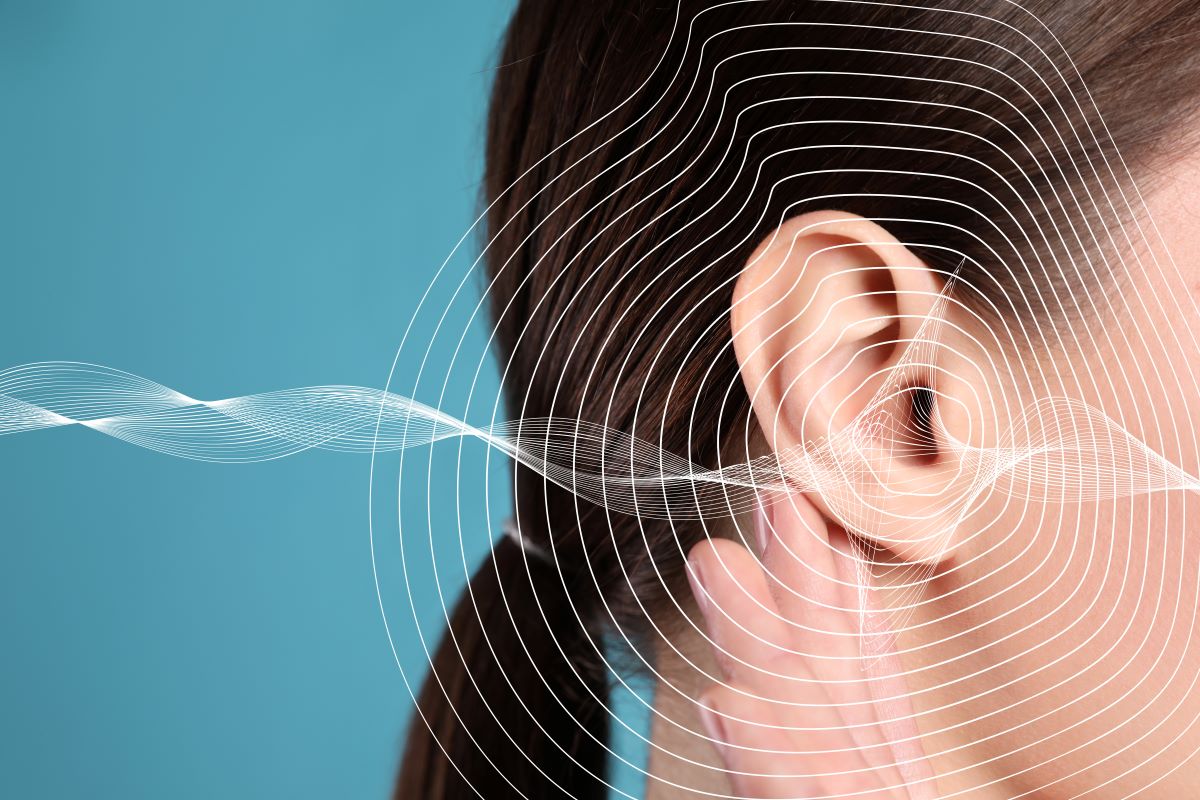 how hearing loss works