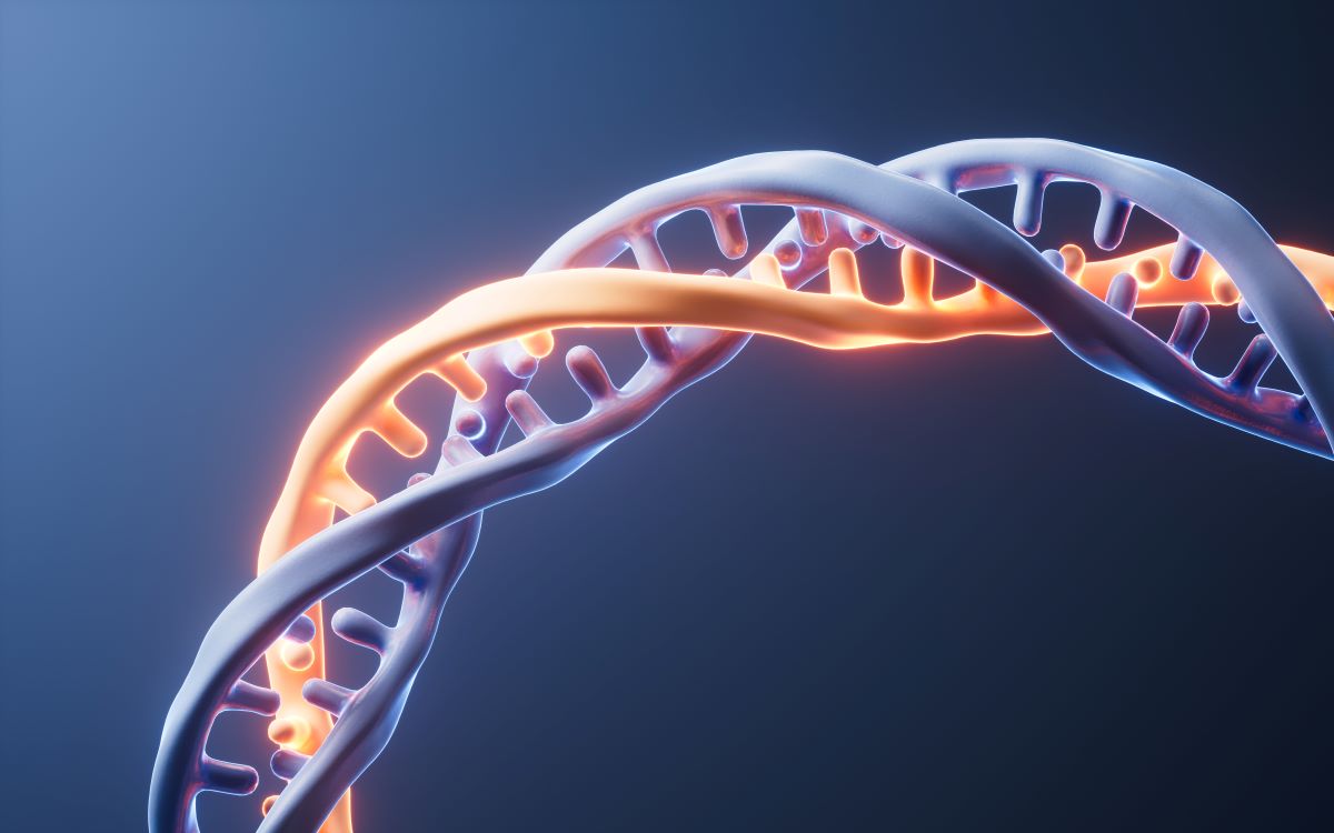 gene therapy cure for hearing loss