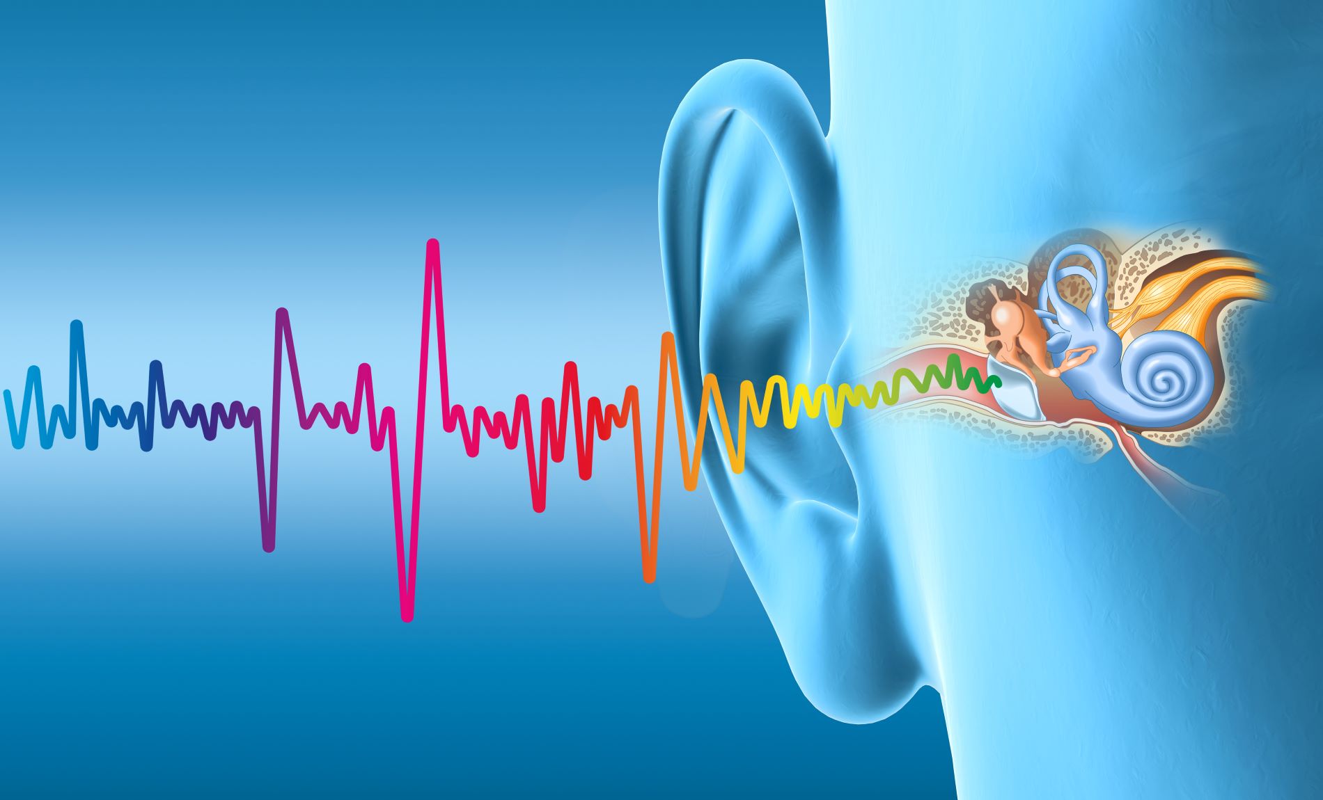understanding tinnitus